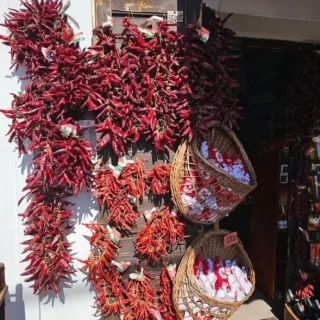 חוויות ברך הדנובה